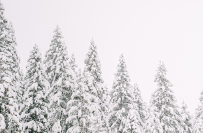 Winterliche Traumhochzeit by Leonie Leder